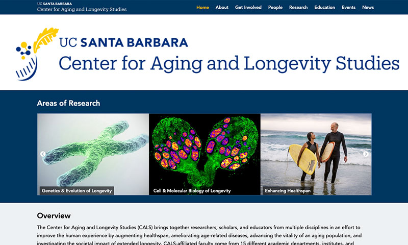 Screenshot of the CALS website home page